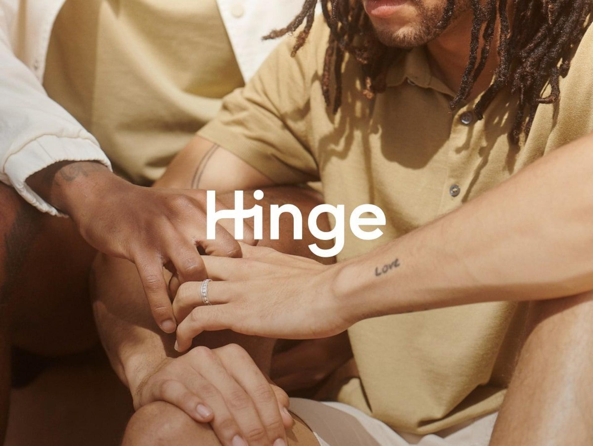 The Hinge brand guidelines Hinge